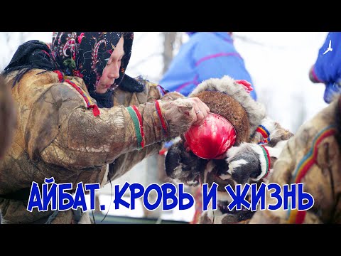 Видео: Великий кочевник Няду. Айбат. Кровь и Жизнь