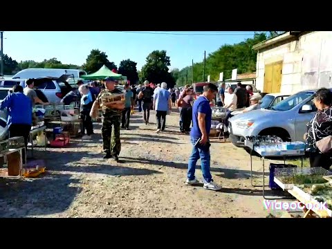 Видео: Ярмарка Кропоткин 30.07.23г Птичий рынок !