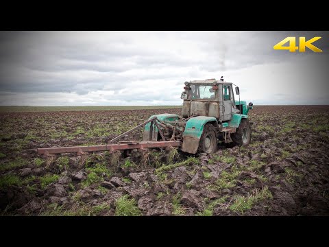 Видео: Трактор Т-150К вспашка плугом ПЛН-5-35. Грязь и буксование на поле. 2019