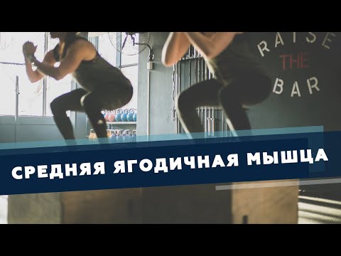 Видео: Средняя ягодичная мышца Укрепляющие упражнения, тренировки