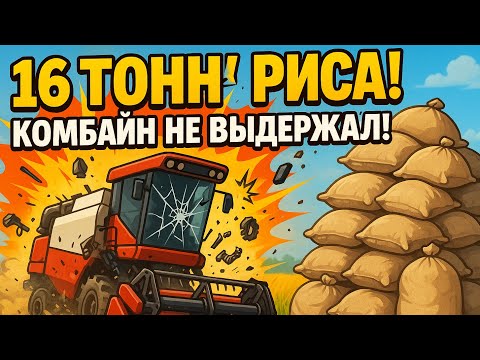 Видео: Доминикана / Собрали 16 тонн риса / Комбайн не выдержал