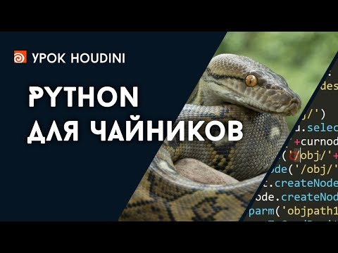 Видео: Урок Houdini "Python для чайников" (RUS)
