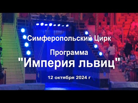 Видео: Цирк Империя львиц