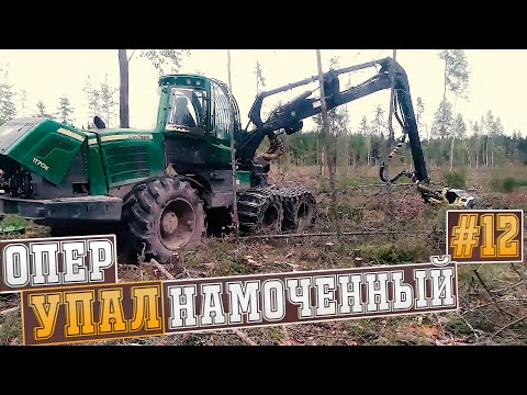 Видео: ОперУпалНамоченный. 12 серия | Logging in Russia