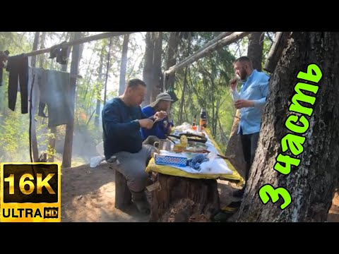 Видео: 🦟  3 ЧАСТЬ ☀️ Поиск рыбы в верховьях горной реки ❤️💚💙 Готовим САШИМИ из ЛЕНКА🦟 🔥SUPER рецепт🎣