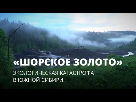Видео: «Шорское золото». Экологическая катастрофа в Южной Сибири. Фильм Вячеслава Кречетова