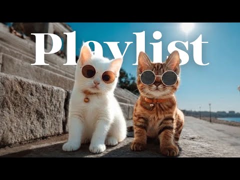 Видео: [плейлист] Цепляет с первого трека 🎧 Душевный хип-хоп R&B | Кафе, в дорогу, для работы