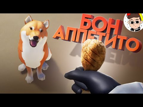 Видео: Почему нельзя кормить СОБАКУ ? 😃 ( Sea of Thieves, Counter Strike )
