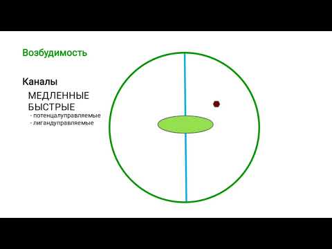 Видео: Возбудимые ткани: введение.