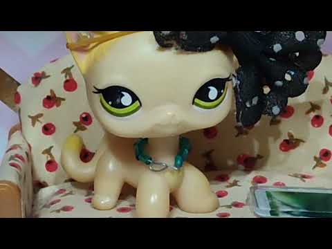 Видео: LPS:вопрос-ответ #2 