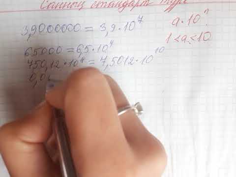 Видео: Санның стандарт түрі