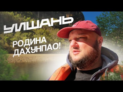 Видео: Родина ДАХУНПАО! Горы Уишань! Много чая, много еды!