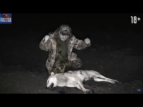 Видео: Уничтожил логово гигантского волка. 100 хищников ночной охоты.