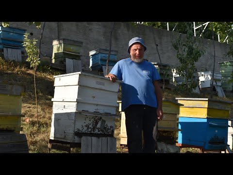 Видео: Родопска аритметика: 1 кг хубав мед струва колкото килограм домашно масло