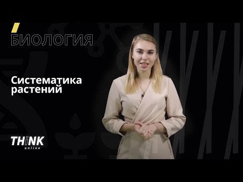 Видео: Систематика растений | Биология