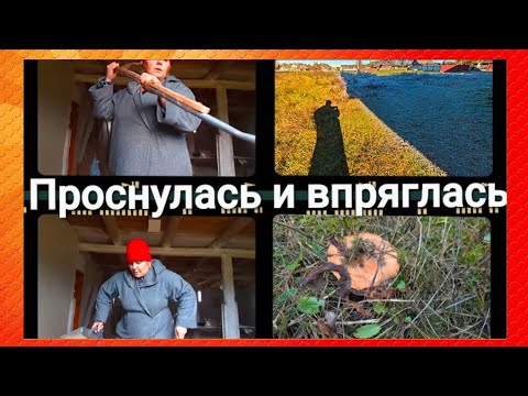 Видео: "Жизнь в деревне" Дурная привычка.Набрала грибов.Затопила печь.