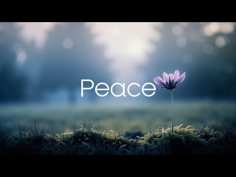 Видео: Безмятежные Мелодии Гитары и Фортепиано ~ Расслабляющая Фоновая Музыка для Фокуса и Спокойствия