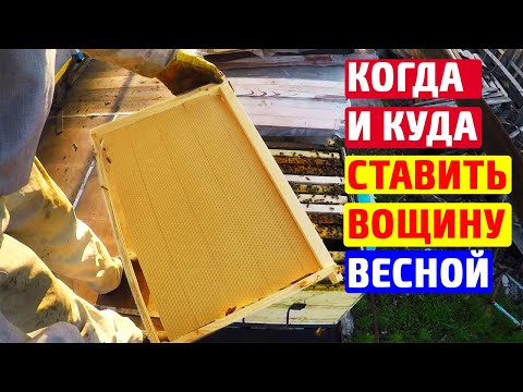 Видео: Постановка вощины Расширение пчелиного гнезда весной Пчелы остались без матки