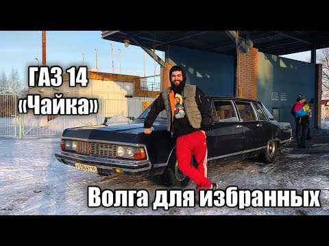 Видео: ЧАЙКА - ВОЛГА ДЛЯ ИЗБРАННЫХ! 😎