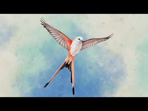 Видео: Wingspan (Крылья) 2 партии против ИИ