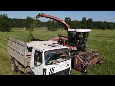 Видео: "Первый Белорусский".Заготовка кормов для скота!!! 🇧🇾