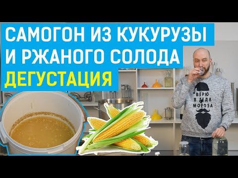 Видео: Брага из кукурузы и ржаного солода: перегонки и дегустация