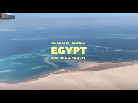 Видео: ЕГИПЕТ БЕЗ ПИРАМИД Экскурсия 5в1 | Снорклинг и...Горная Болезнь?! | DIY Пляжный Гардероб ОБЗОР ОТЕЛЯ