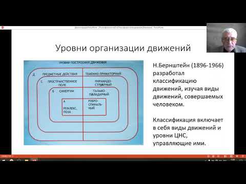 Видео: Психофизиология 3, Психофизиология движения. Хандожко И И ,МГОУ
