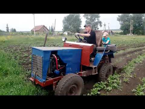 Видео: Второй раз окучиваем картошку