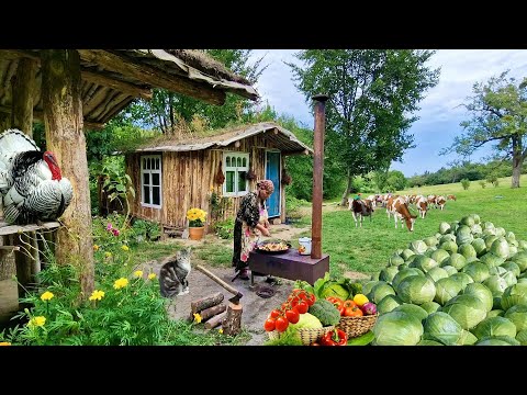 Видео: Жареная Капуста.  Готовим Мясо с Овощами на Садже.  @Kənd Dadı