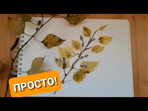 Видео: Рисуем осенние листочки берёзы акварелью. Простой урок рисования для новичков