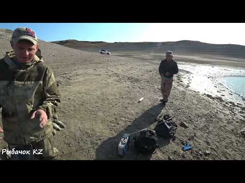 Видео: ЛУЧШАЯ РЫБАЛКА ОСЕНЬЮ,СУДАК НА ДЖИГ КУРТИНСКОЕ ВОДОХРАНИЛИЩЕ! (АРХИВ)