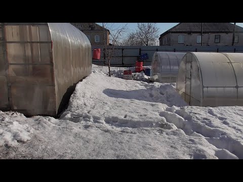 Видео: КАК ЛУЧШЕ РАСПОЛОЖИТЬ ТЕПЛИЦУ? Ольга Чернова.