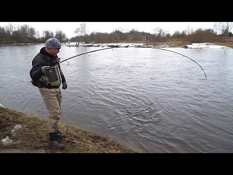 Видео: Рыбалка. Ловля БОЛЬШОЙ РЫБЫ на спиннинг!