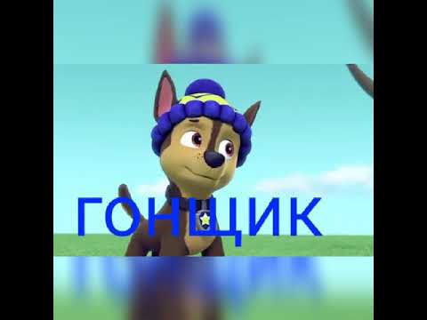 Видео: комикс любовь маршала