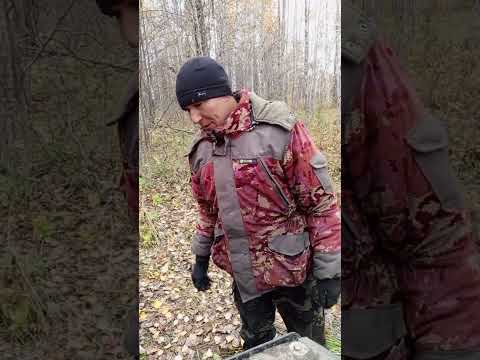 Видео: Самая, труднодоступная дорога и мы на суше 😎 #болотоход #бездорожье 