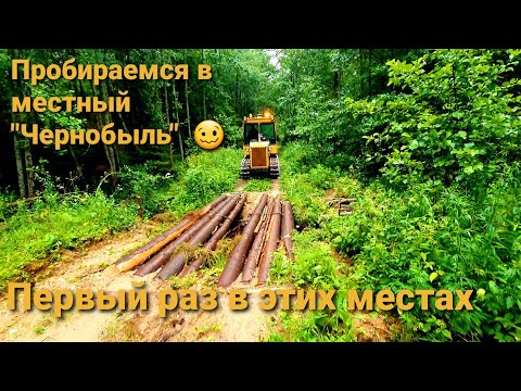 Видео: Едем на дт 75 в местный "Чернобыль". Ищем дороги.