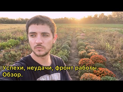 Видео: Большой обзор тепличного хозяйства