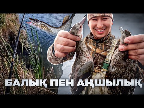 Видео: БАЛЫҚ ПЕН АҢШЫЛЫҚ ҚАЗАН АЙЫНДА. Үйректен және қойдан кәуап. Уха пісіру. Шашлык из утки. Царская УХА