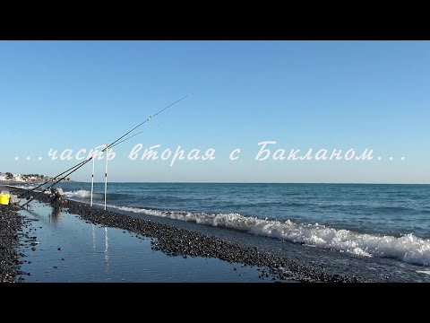 Видео: Рыбалка, Баклан, баня на берегу. Ч/2