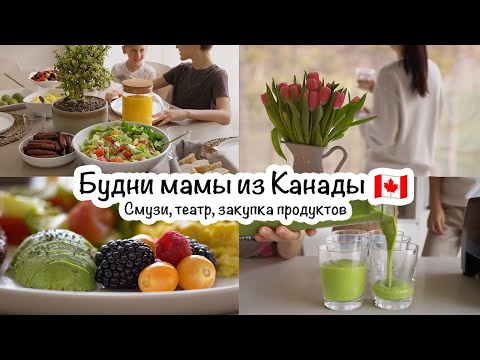 Видео: Будни мамы из Канады🇨🇦Зеленый смузи🍵Театр🏛Завтрак🍳Обед🥣Ужин🍲