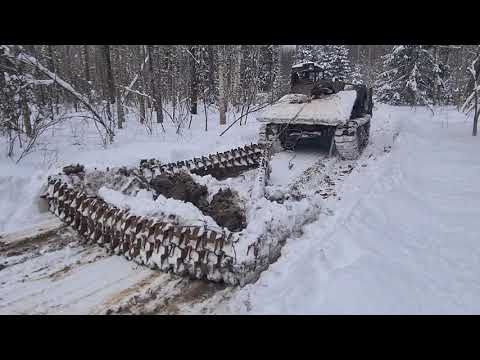 Видео: На трелевщике пробиваем дорогу на делянку.