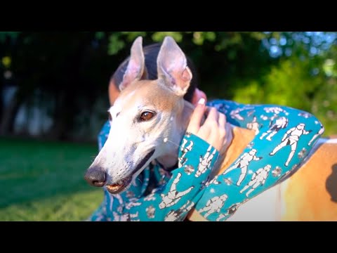 Видео: Год с нашим ребенком ! - Дженна Марблс