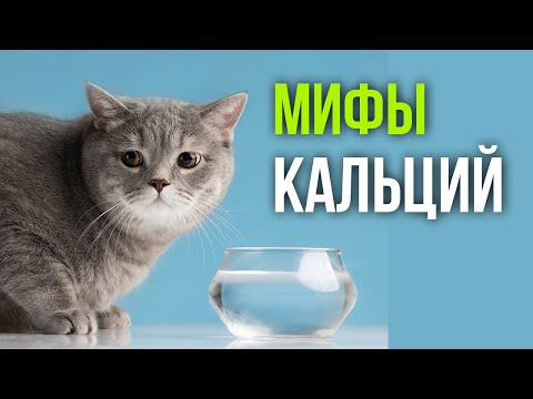 Видео: Добавлять ли кальций в корм или натуралку?