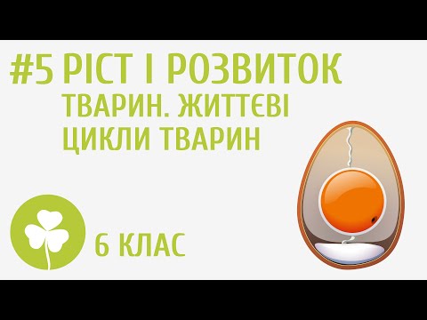 Видео: Ріст і розвиток тварин. Життєві цикли тварин #5