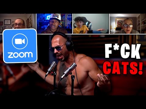 Видео: Эндрю Тейт троллит ЗЛОГО ХОЗЯИНА КОТА в Zoom!