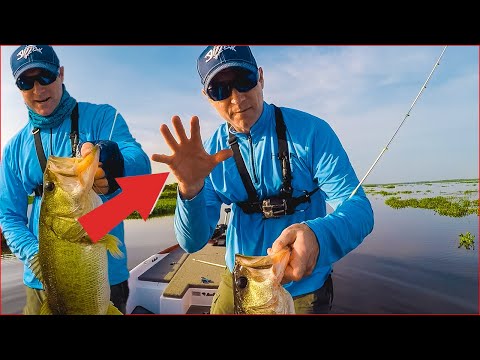 Видео: 5 советов, как МГНОВЕННО повысить скорость вашей рыбалки на червя