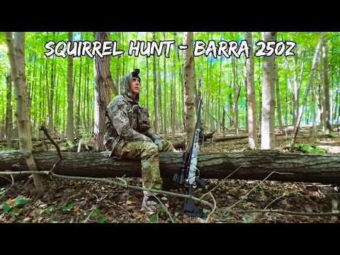 Видео: Охота на белку с пневматической винтовкой Barra 250z