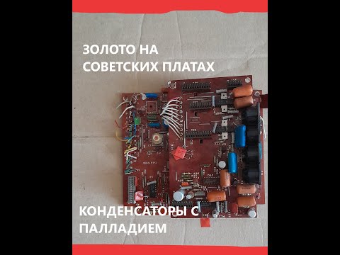 Видео: Они дорожают в месте с ценами на ЗОЛОТО.