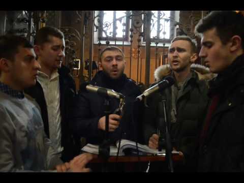 Видео: Пливе кача по Тисині          квінтет Гарнізоного храму св.апп.Петра і Павла